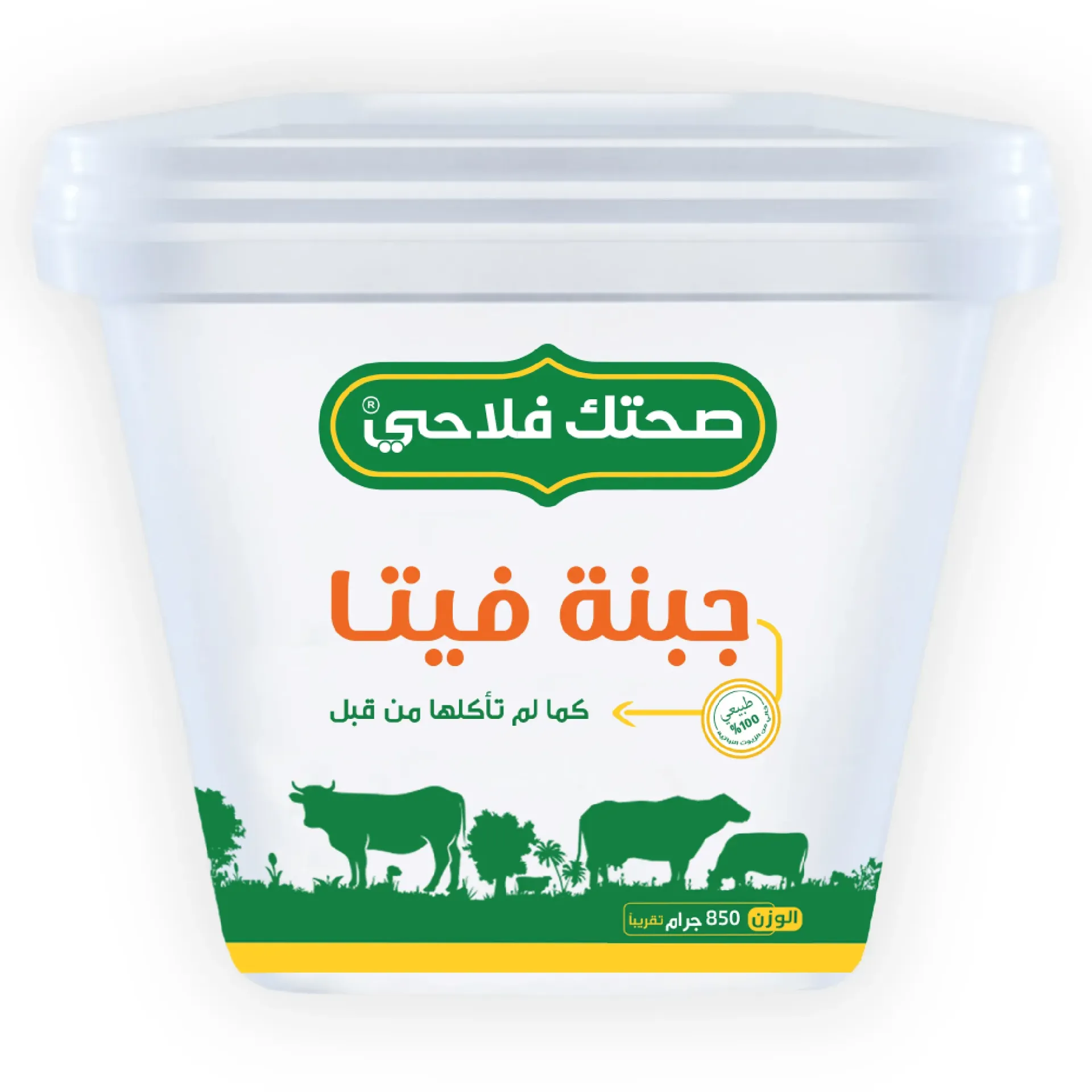 [11500700100047] جبنه فيتا 850 جم